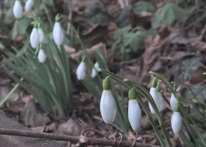 Mit Grosser Terrasse In Bei Berlin בית נופש *